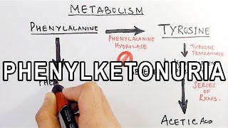 Phenylketonuria  Biochemistry amp Genetics [upl. by Billye]