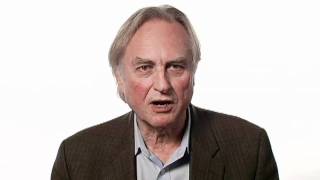 Richard Dawkins Canning Bill OReilly  Big Think [upl. by Oconnor]