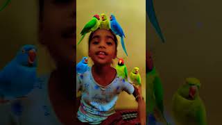 Main tota main tota 🦜🐦 maintota videoforkids hamarijinisha hamarijinisha [upl. by Mullane742]