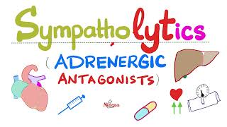 Sympatholytics Adrenergic Antagonists — Alpha blockers Beta blockers Calcium channel blockers [upl. by Evaleen]