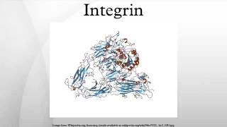 Integrin [upl. by Searby592]