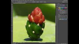 Photoshop  Isolate an Object or Part of and Image or Photo  Magic Lasso Tool [upl. by Eisse]