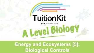 Energy an Ecosystems 5 Biological Controls Biology [upl. by Nimrahc835]