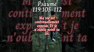 Lecture du Psaume 119105112 psaumes bible [upl. by Arhaz29]