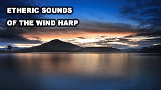 Aeolian Harp  Wind Harp  1 Hour  Etheric amp Haunting Sounds [upl. by Madelaine387]