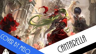 Melo Dance Cover Cantarella [upl. by Adkins195]