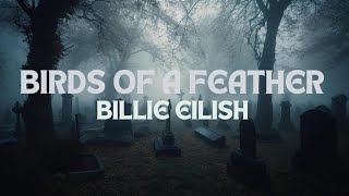 Billie Eilish  BIRDS OF A FEATHER Lyrics [upl. by Caria571]