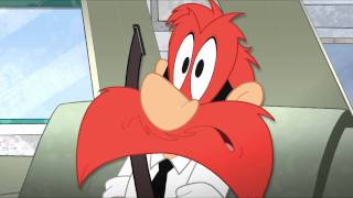 The Looney Tunes Show DMV Clip 2 from Cartoon Network [upl. by Adien]