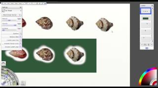 Clone Tool Tutorial for ArtRage 4 [upl. by Nodab]