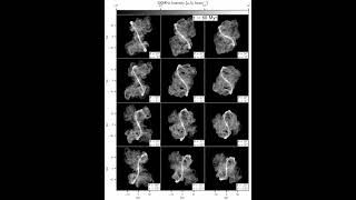 Radio Jet Precession  Multiple Viewing Angles of the Same Jet Source  300MHz Intensity [upl. by Atiuqahs962]