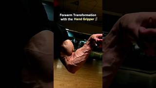 Forearm Transformation with Hand Gripper😈 forearmtraining forearms handgripper handgrip [upl. by Blau481]