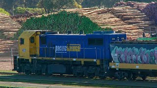 Portland Victoria Grain Train  BL32 G519 X50  5th August 2024 [upl. by Rosenberg106]