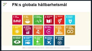 Webinarium Planeringsbidrag för forskning om de globala hållbarhetsmålen [upl. by Gautier]