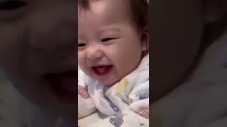 try no to laugh  funny baby videos  cute babies baby babylaughing [upl. by Lenora]