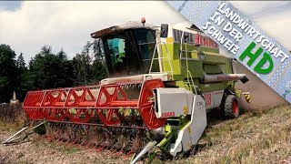 ERNTE SPEZIAL  Bohnen und Lupinen dreschen  Claas Mega 218 Dominator [upl. by Esyahc]