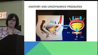 Urodynamics I  Basic [upl. by Lewap]