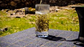 Welcome Spring  Longjing  How to brew green tea in a glass [upl. by Norrat911]