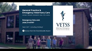 VETSS Charlottesville  General amp Emergency Veterinary Care [upl. by Ratep94]