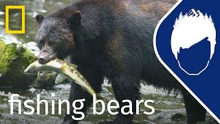 Bears Catching Salmon Episode 12  wildlife with bertie gregory [upl. by Karole563]