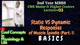 3 LIVE Static VS Dynamic Responses of Muscle Spindle Part1 the BASICS 2ndyearmbbs mbbs [upl. by Osbourn]