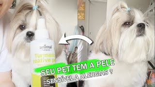 SEU CÃO TEM PELE SENSÍVEL A ALERGIAS [upl. by Lapo882]