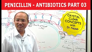 Penicillin  Antibiotics  Dr Najeeb  Part 34 [upl. by Brahear]