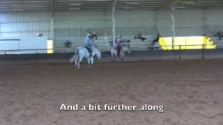 A bolting Percheron at a clinic [upl. by Carissa]