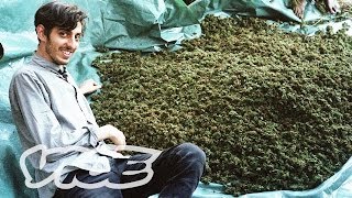 Swaziland Gold Mine of Marijuana Part 12 [upl. by Earized607]