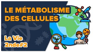 Le métabolisme des cellules  SVT  LA VIE 2nde 2 Mathrix [upl. by Stover]