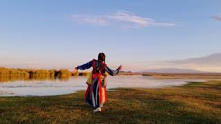 Mongolian Traditional Dance Монгол бүжиг [upl. by Eleen51]