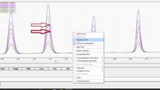 LabSolutions LCGC Workstation Basic Data Analysis [upl. by Ajtak]