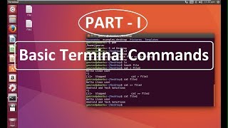 Basic Terminal Commands in Linux Ubuntu  Ubuntu tutorial for Beignners [upl. by Merfe]