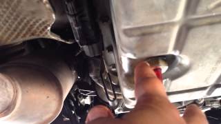 0509 Mustang Transmission Fluid top off [upl. by Claudell]