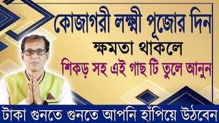 কোজাগরী লক্ষ্মী পূজার দিন শিকড় সহ এই গাছটি তুলে নিয়ে আসুন। টাকা গুনতে গুনতে আপনি হাঁপিয়ে উঠবেন [upl. by Eadmund]