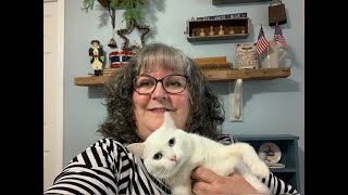 Southern Yankee Stitcher Flosstube 51 Stitch Update and Thrift Haul [upl. by Nathan]