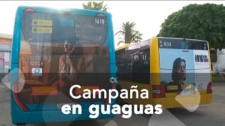 Guaguas Municipales y Global en campaña contra la violencia de género [upl. by Rabi]