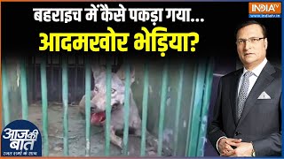 Wolf Terror Attack बहराइच में कैसे पकड़ा गया आदमखोर भेड़िया  Bhediya  Wolves [upl. by Therron]