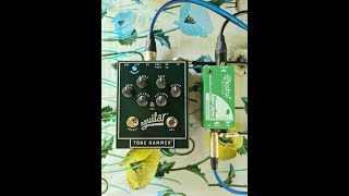 Aguilar Tone Hammer preamp sound test [upl. by Idner623]