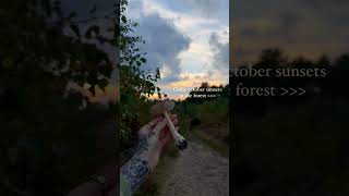 Forest sunset amanita muscaria  sunsets forest amanita mushrooms shorts [upl. by Colver]