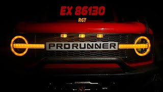 NEW RGT EX86130 PRO RUNNER обзор последней модели уходящего года от RGT [upl. by Aronaele]