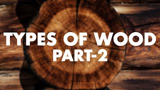 Heartwood vs Sapwood  Anatomy of Flowering Plants Class 11 Biology  NEET 2022 [upl. by Ueihttam]