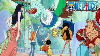 Straw Hats Reunite  One Piece [upl. by Beaner549]