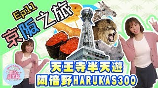 【大阪自由行Vlog】京阪之旅Ep11天王寺動物園阿倍野HARUKAS300通天閣新世界函太郎迴轉壽司天王寺半天遊喵兔自由行 [upl. by Markus448]