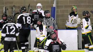 Alliston Hornet vs Napanee Raiders PJHL Playoffs Schmalz Cup Semi Finals Game 2 [upl. by Ahsilam]