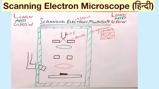 Scanning Electron Microscope हिन्दी [upl. by Tobey639]