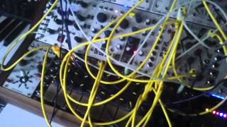 Harvestman Polivoks VCGVCFLPG wogglebug euro modular synth [upl. by Oberstone]