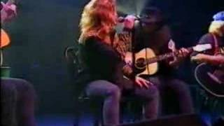 Lynyrd Skynyrd  Things goin on acoustic [upl. by Yenaj]