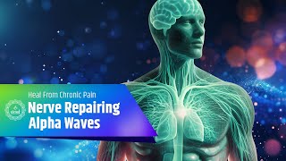 Nerve Repairing Alpha Waves  Heal From Chronic Pain to Nerve Regeneration  Binaural Beats [upl. by Dearden125]