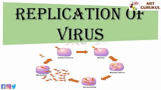 Replication of virus  Virus Replication Animation  Viral replication process [upl. by Cawley]