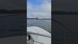 Hawkesbury River Cruzin in the Mustang 🚤 [upl. by Laband]